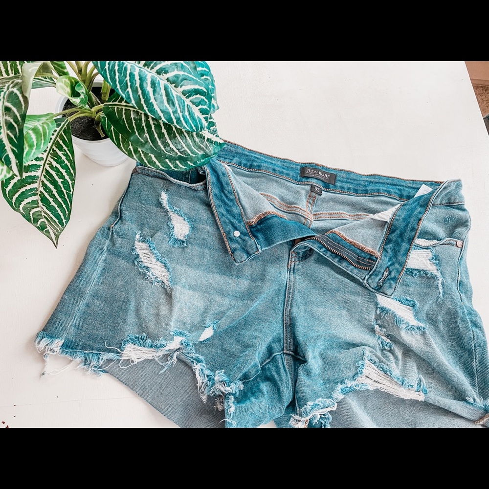 Stretchy 1X Daisy Duke Cut-Offs